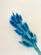 Dried bunny tails in various colors (50pc/bunch)