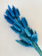 Dried bunny tails in various colors (50pc/bunch)