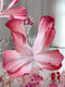 Hand-Made Butterfly Wall Decor - Customizable Sizes & Colors | Pre-Order