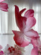 Hand-Made Butterfly Wall Decor - Customizable Sizes & Colors | Pre-Order