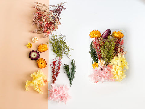 Dried Flower DIY Craft Kit In Variety Style