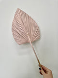 Small size palm fan in variety color