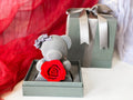 Teddy Bear Gift Set With Rose (Permanent Rose)