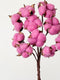 Bendable Single bud/stem Dried Cotton in multiple colors