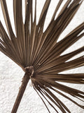 Rustic Dried Palm Leaf