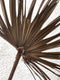 Rustic Dried Palm Leaf