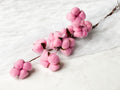 Bendable Single bud/stem Dried Cotton in multiple colors