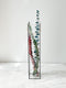 Tall Transparent Flower Box With Colored Trim And Chain