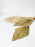 Dried Mini Palm Fan in Natural Color
