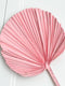 Dried Small Round Palm Leaf