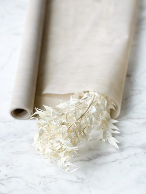 Dried White Ruscus