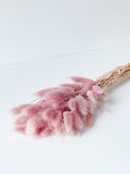 Dried bunny tails in various colors (50pc/bunch)