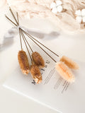 Natural Dried Teasels(Two Colors Available)