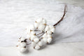 Single bud Natural white Cotton