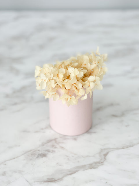 Mini Size Flower Box for Single Flower