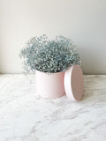 Shinny Planter Flower Box in Different Size & Color
