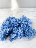 Preserved Hydrangea Petal in variety color