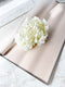 Colorful WATERPROOF TRANSPARENT Wrapping Paper WITH WHITE LINE