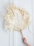 Bleached Preserved Palm Leaves in Ivory Color