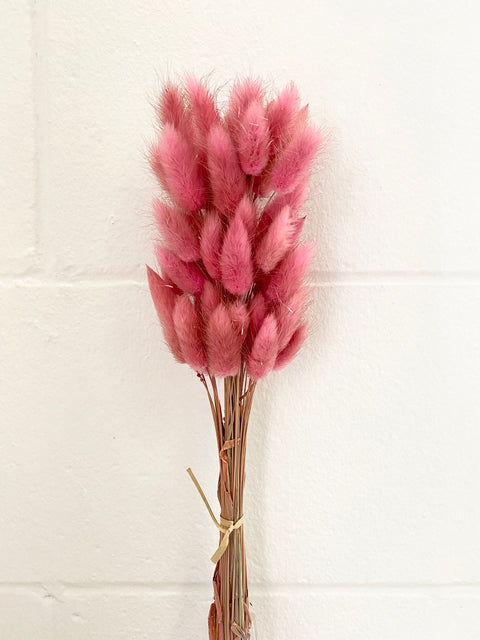 Dried bunny tails in various colors (50pc/bunch)